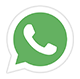 WhatsApp Icon